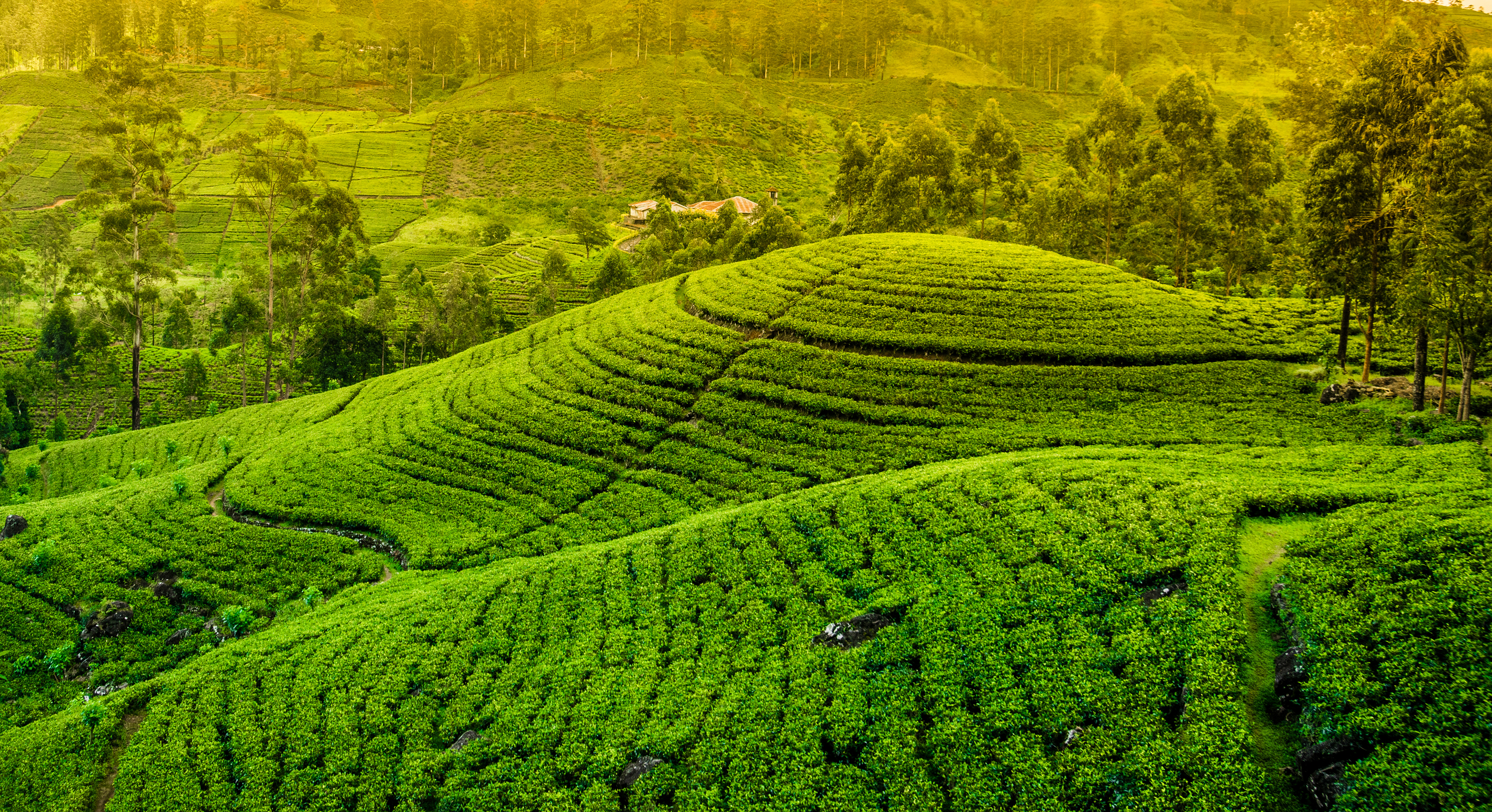 Sri Lanka From North to South